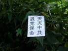 "•"֮ʣĳСǵ