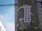 ֹ,ͼƬһй½־ɷ - ִ - minghui.org