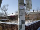 ֹ,̨дСֵ - ִ - minghui.org