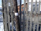 ֹ,̨дСֵ - ִ - minghui.org