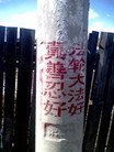 ֹ,һ¶ʮմ½ۺϢ - ִ - minghui.org