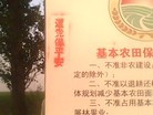 ֹ,Ƭĳز - ִ - minghui.org