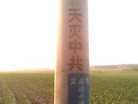 ֹ,Ƭĳز - ִ - minghui.org