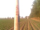ֹ,Ƭĳز - ִ - minghui.org