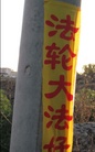 ֹ,ף513ִ󷨺鴫˫ǣ£ - ִ
