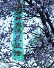 ֹ,ĳؽͷף"編ִ" - ִ

