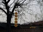 ֹ,"һ"ĳ洦ɼ - ִ
