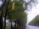 ֹ,ף513ĳй·ͼ - ִ
