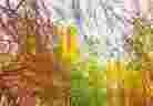 ֹ,ִաĳгִ

