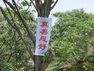 ֹ,4.25ǰ人෨ֹ
