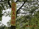 ֹ,4.25ǰ人෨ֹ
