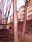 ֹ,ڼɽĳй··ߵＰ 
