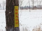ֹ,Ԫ ĳ洦ɼ"ִ󷨺" 
