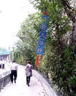 Published on 5/17/2015 法轮功,庆祝5.13大法日，贵阳和南方某地喜见“法轮大法好” 【明慧网】
