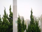 Published on 5/17/2015 法轮功,山东某地街道、居民区大量标语展示“法轮大法好” 【明慧网】
