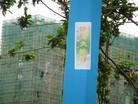 Published on 5/17/2015 法轮功,山东某地街道、居民区大量标语展示“法轮大法好” 【明慧网】
