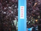 Published on 5/17/2015 法轮功,山东某地街道、居民区大量标语展示“法轮大法好” 【明慧网】
