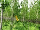 Published on 5/19/2015 法轮功,二零一五年五月十九日大陆综合消息 【明慧网】
