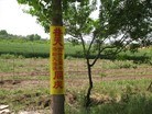 Published on 5/19/2015 法轮功,二零一五年五月十九日大陆综合消息 【明慧网】
