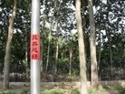 Published on 5/27/2015 法轮功,河北廊坊大街小巷出现真相标语 【明慧网】
