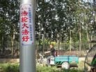 Published on 5/27/2015 法轮功,河北廊坊大街小巷出现真相标语 【明慧网】
