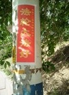 Published on 6/1/2015 法轮功,黑龙江、辽宁、河北、云南等地的真相标语 【明慧网】
