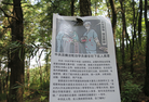 Published on 6/1/2015 法轮功,黑龙江、辽宁、河北、云南等地的真相标语 【明慧网】
