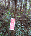 Published on 6/1/2015 法轮功,黑龙江、辽宁、河北、云南等地的真相标语 【明慧网】
