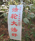 Published on 6/1/2015 法轮功,黑龙江、辽宁、河北、云南等地的真相标语 【明慧网】
