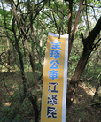 Published on 6/1/2015 法轮功,黑龙江、辽宁、河北、云南等地的真相标语 【明慧网】
