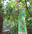 Published on 6/1/2015 法轮功,黑龙江、辽宁、河北、云南等地的真相标语 【明慧网】

