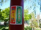 Published on 6/13/2015 法轮功,河北省张家口市城镇街道的真相标语 【明慧网】
