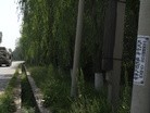 Published on 6/14/2015 法轮功,二零一五年六月十四日大陆综合消息 【明慧网】
