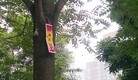 Published on 6/8/2015 法轮功,京城路边见到“法轮大法好”的标语 【明慧网】
