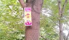 Published on 6/8/2015 法轮功,京城路边见到“法轮大法好”的标语 【明慧网】
