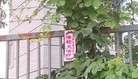Published on 6/8/2015 法轮功,京城路边见到“法轮大法好”的标语 【明慧网】
