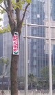 Published on 6/8/2015 法轮功,京城路边见到“法轮大法好”的标语 【明慧网】

