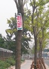 Published on 6/8/2015 法轮功,京城路边见到“法轮大法好”的标语 【明慧网】
