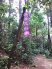 Published on 6/8/2015 法轮功,二零一五年六月八日大陆综合消息 【明慧网】
