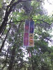 Published on 6/8/2015 法轮功,二零一五年六月八日大陆综合消息 【明慧网】
