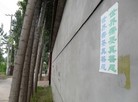 Published on 6/8/2015 法轮功,河北某市大街小巷出现真相标语 【明慧网】
