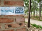 Published on 6/8/2015 法轮功,河北某市大街小巷出现真相标语 【明慧网】
