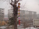 ֹ,½صչ壨5 

