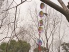 ֹ,½صչ壨6 

