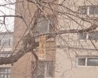 ֹ,й½ص 
