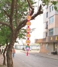 Published on 5/25/2016 ֹ,˳磺ҡչ崫 
