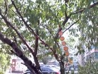 Published on 6/27/2016 ֹ,½صչ塢Ҵ 
