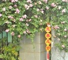 Published on 6/13/2016 ֹ,չ塢Ҵ 
