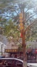 Published on 7/18/2016 ֹ,½رչ崫 
