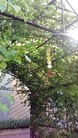 Published on 7/18/2016 ֹ,½رչ崫 
